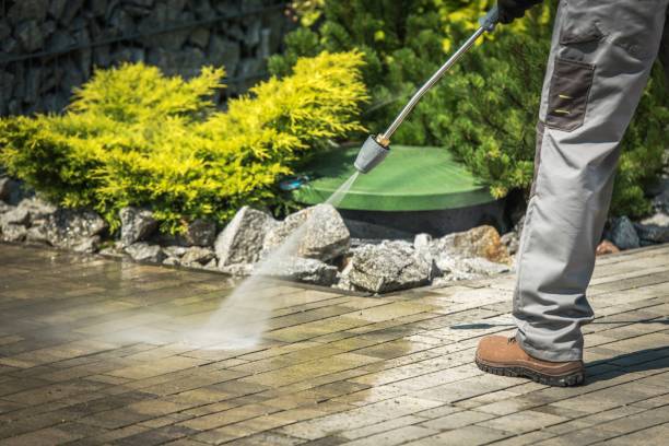 Best Animal Enclosure Cleaning  in Dixon, CA