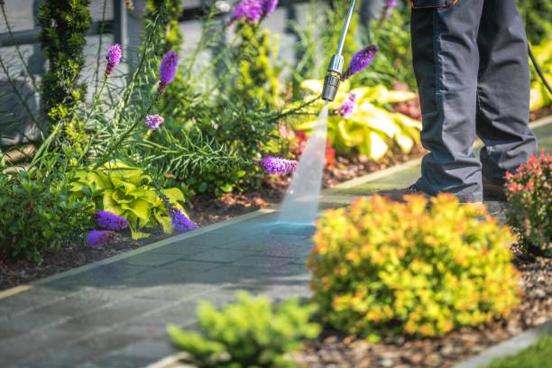 Best Winterizing Services  in Dixon, CA